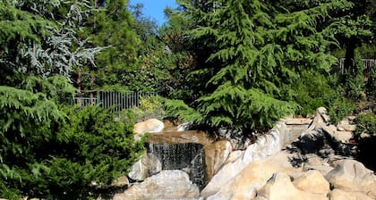 Bella Vista Bed and Breakfast