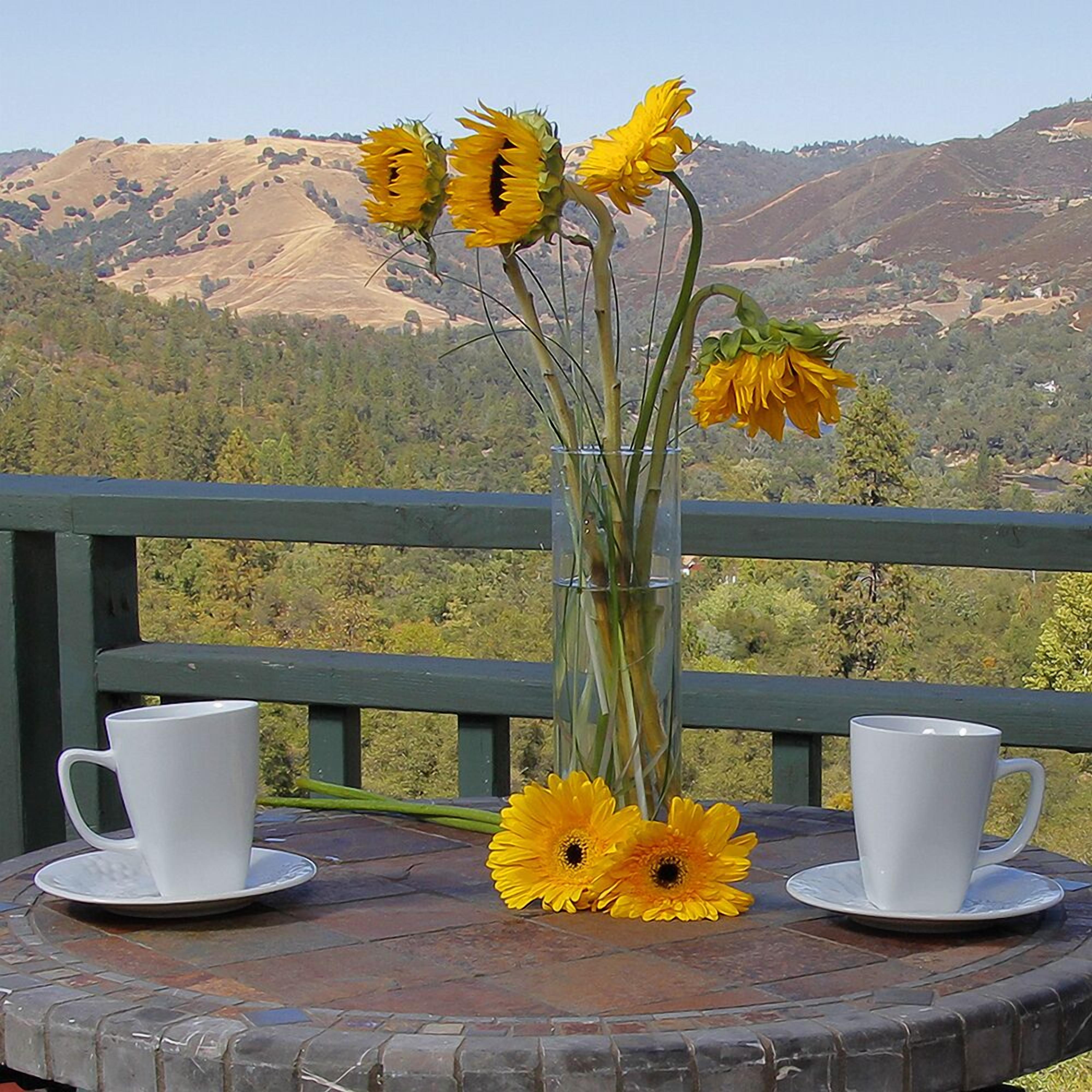 Una mesa con un jarrón de girasoles y dos tazas blancas en una terraza con montañas al fondo.