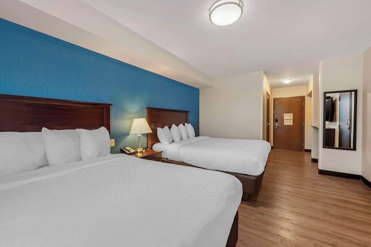 Egyptian cotton sheets, pillow-top beds, desk, soundproofing