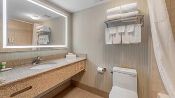 Une salle de bain avec un comptoir en granit, un lavabo, des toilettes, un porte-serviettes et un miroir.