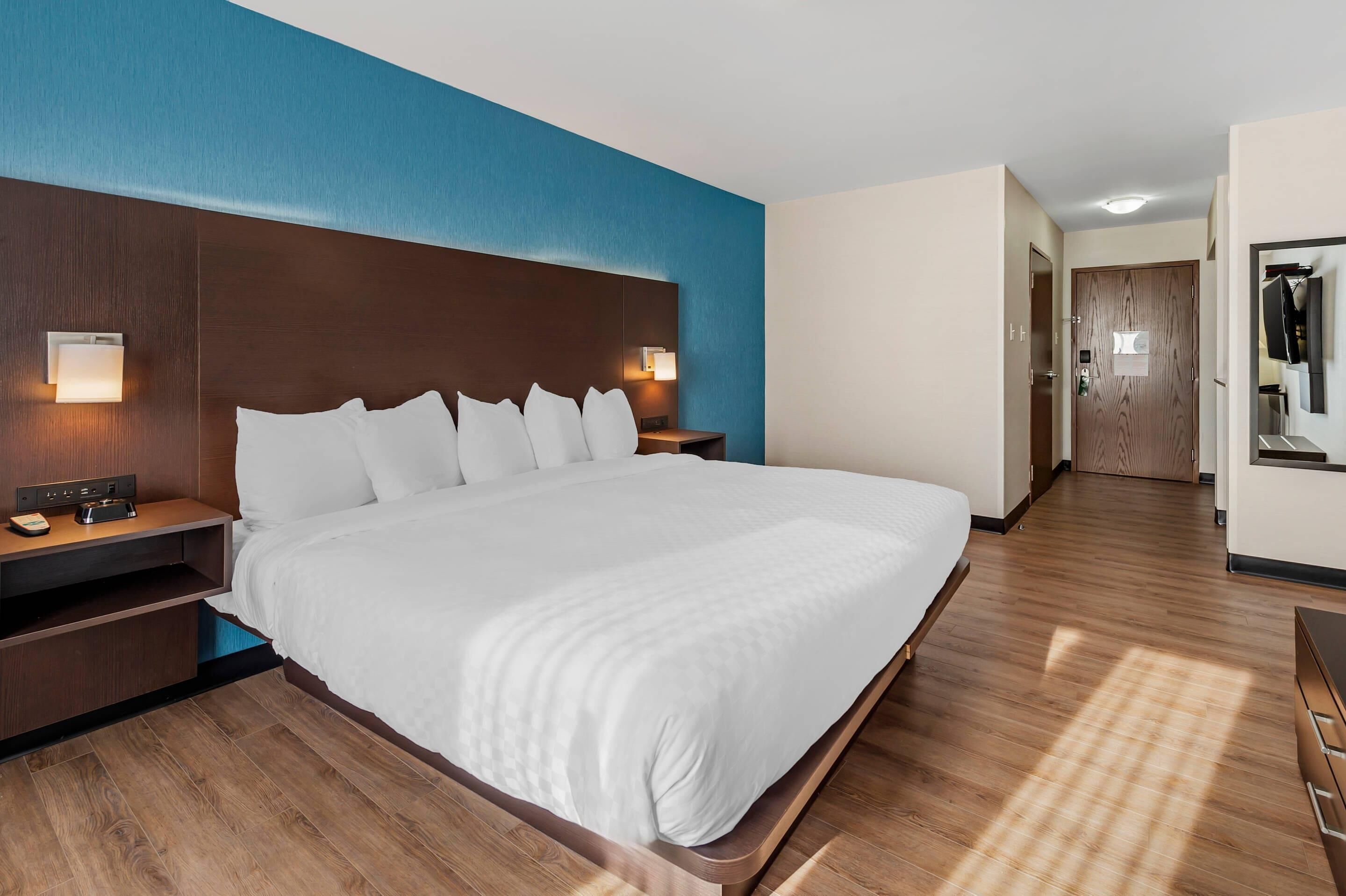 Room, 1 King Bed, Non Smoking | Egyptian cotton sheets, pillowtop beds, desk, soundproofing