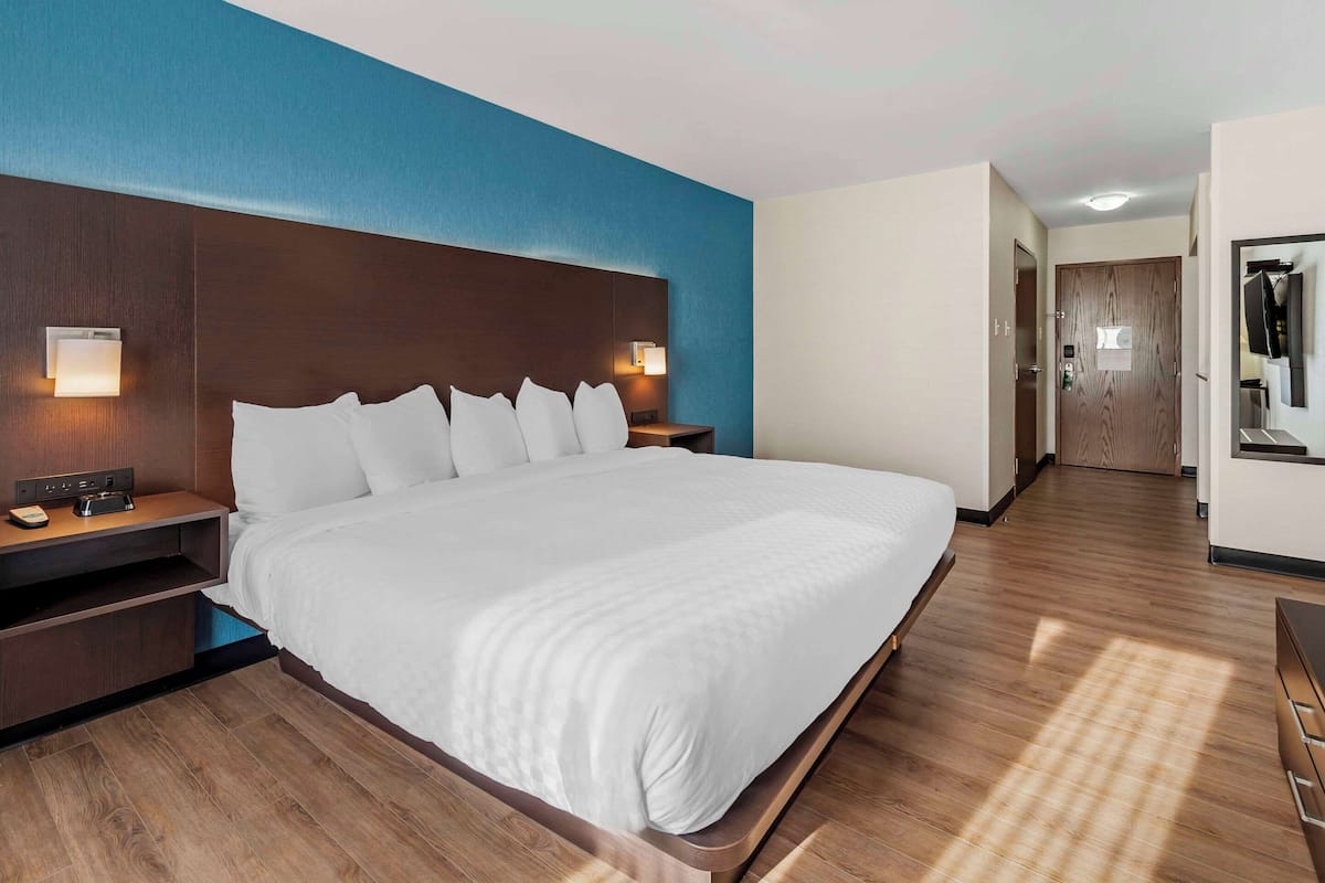 Room, 1 King Bed, Non Smoking