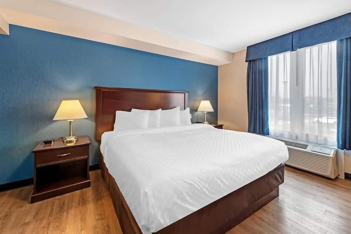 Egyptian cotton sheets, pillowtop beds, desk, soundproofing