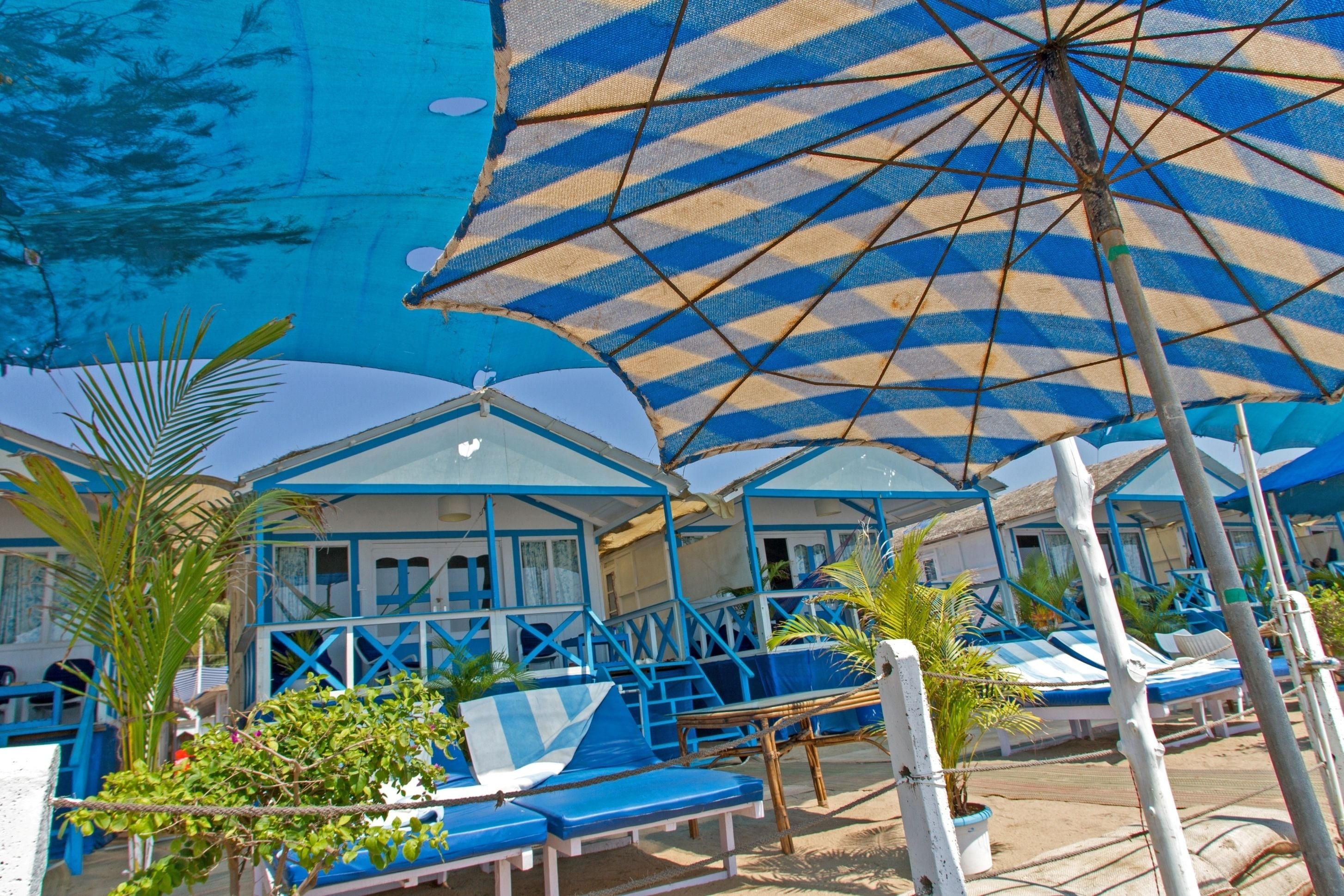 テラス / パティオ