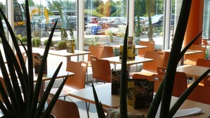 Un espace intérieur moderne, doté de grandes fenêtres, de chaises orange et de plantes en pot.