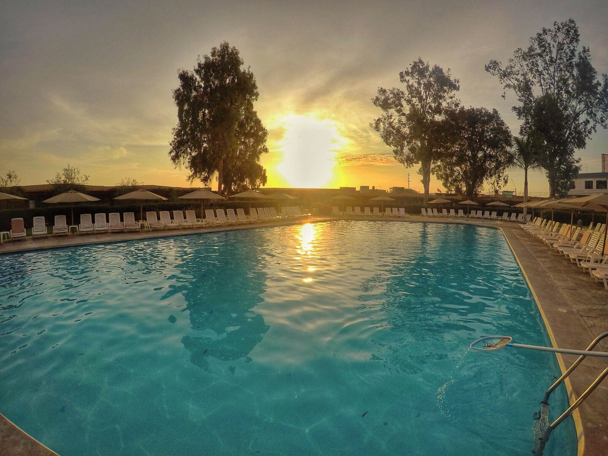 Outdoor pool, sun loungers