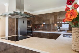 Villa Premier | Private kitchen | Full-size fridge, microwave, oven, stovetop