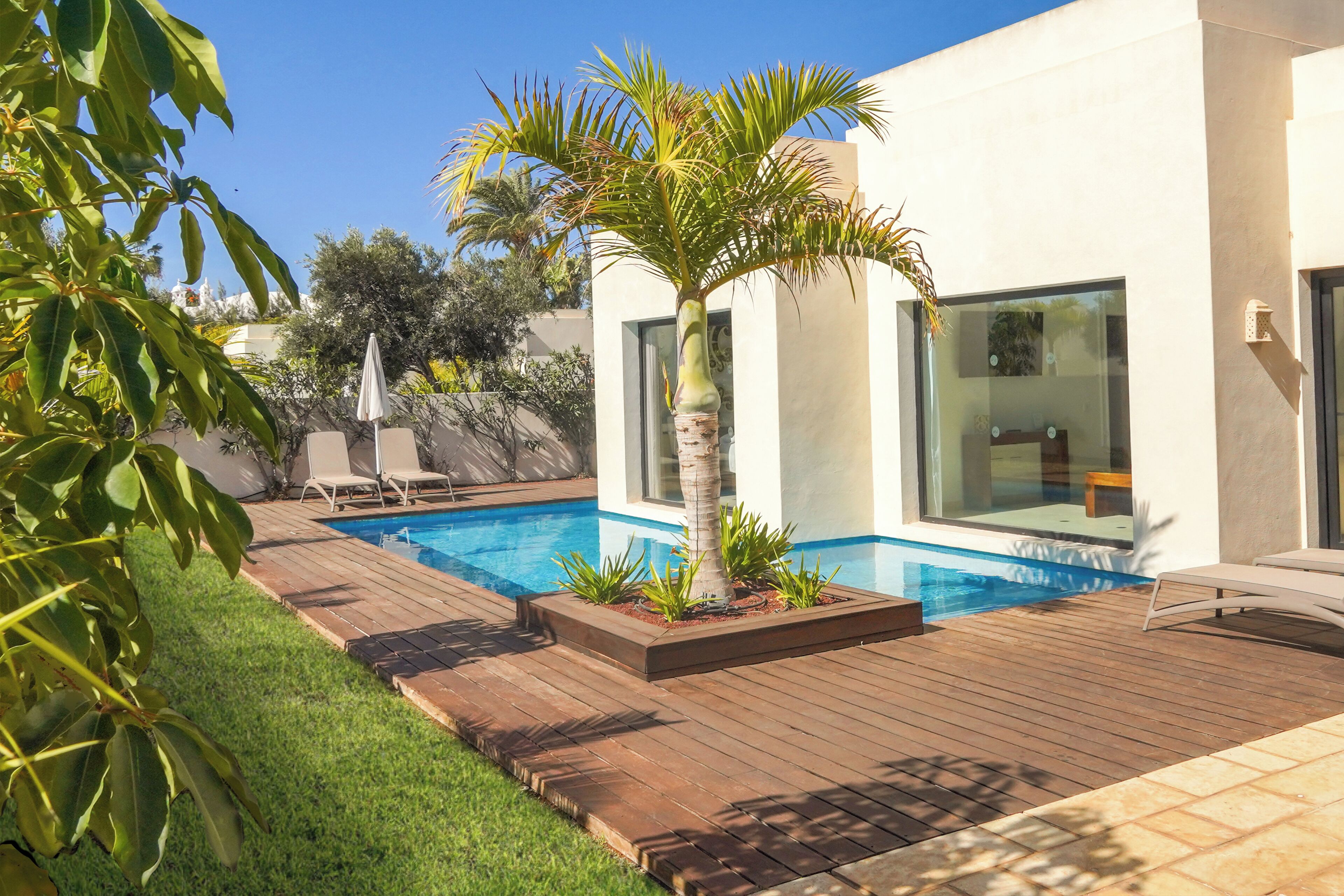 Ein modernes Haus mit Swimmingpool, einer Holzterrasse und einer Palme.