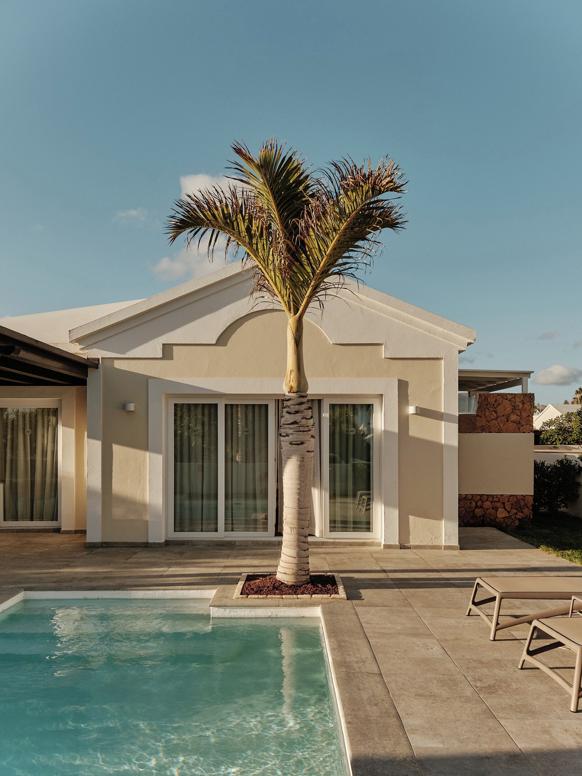 A modern house with a swimming pool, large windows, and a palm tree.