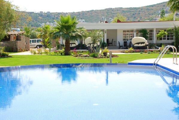 Outdoor pool, pool umbrellas, pool loungers