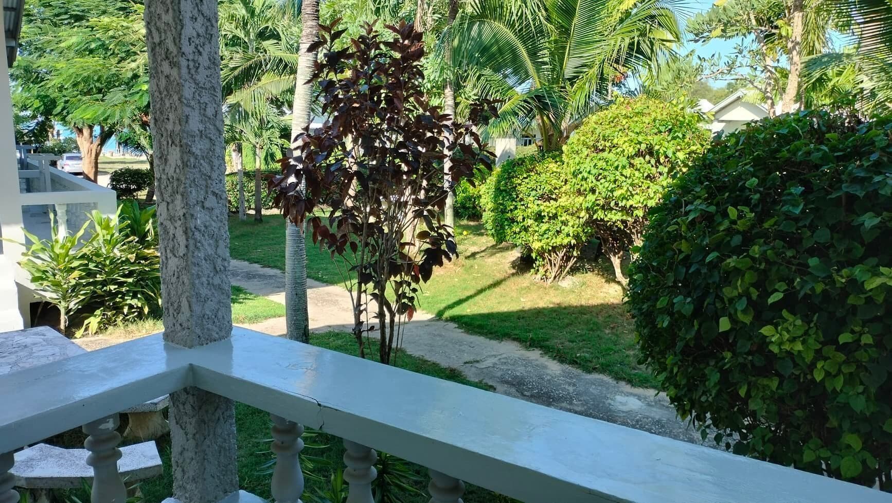 A balcony with a view of a well-maintained garden, including various shrubs and a palm tree.