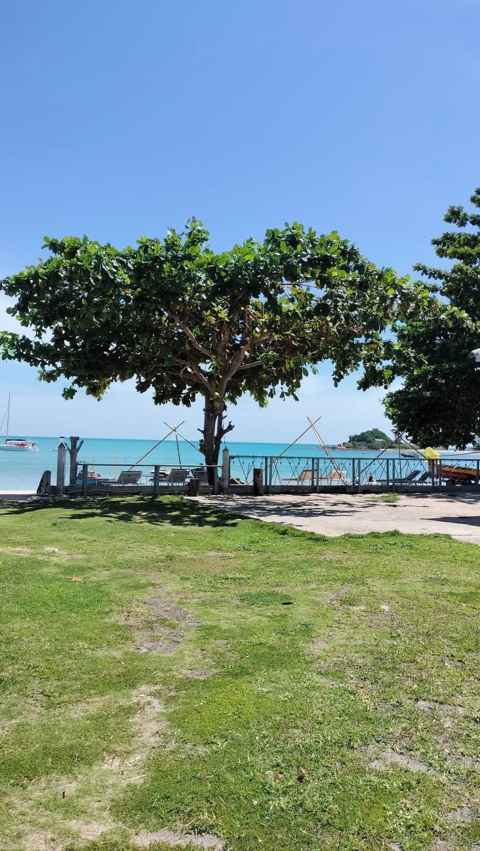A tree-lined pathway leading to a beach with a clear view of the sea and a distant bridge.
