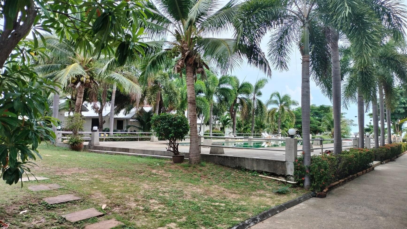 Un espace aménagé avec des palmiers, une piscine et un sentier.