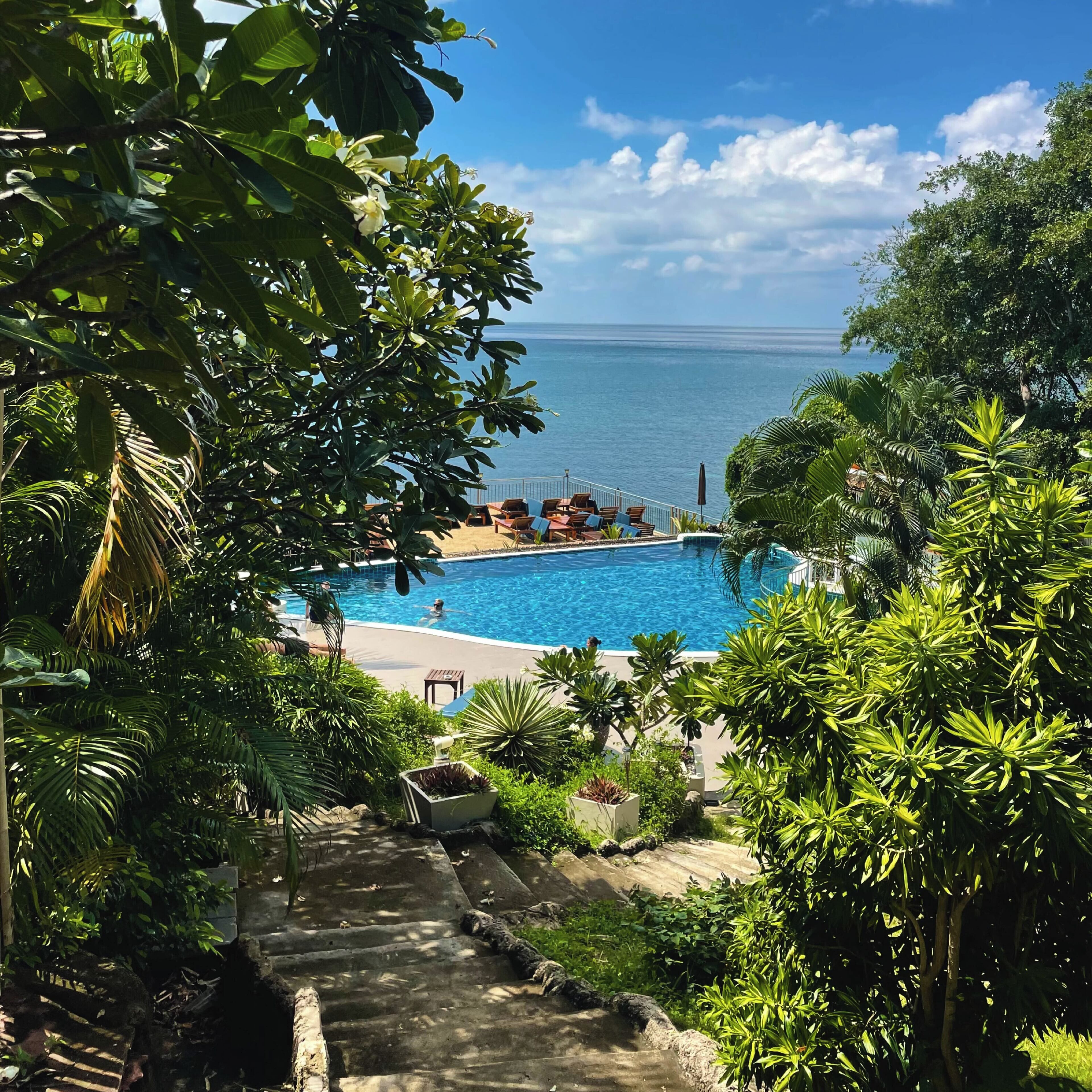 Outdoor pool, pool umbrellas, sun loungers