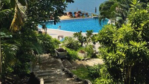A pool with a view of the sea, surrounded by lush greenery and steps leading down to the pool area.