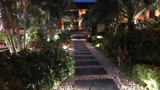Garden - Tropical Palm Resort (Koh Samui)