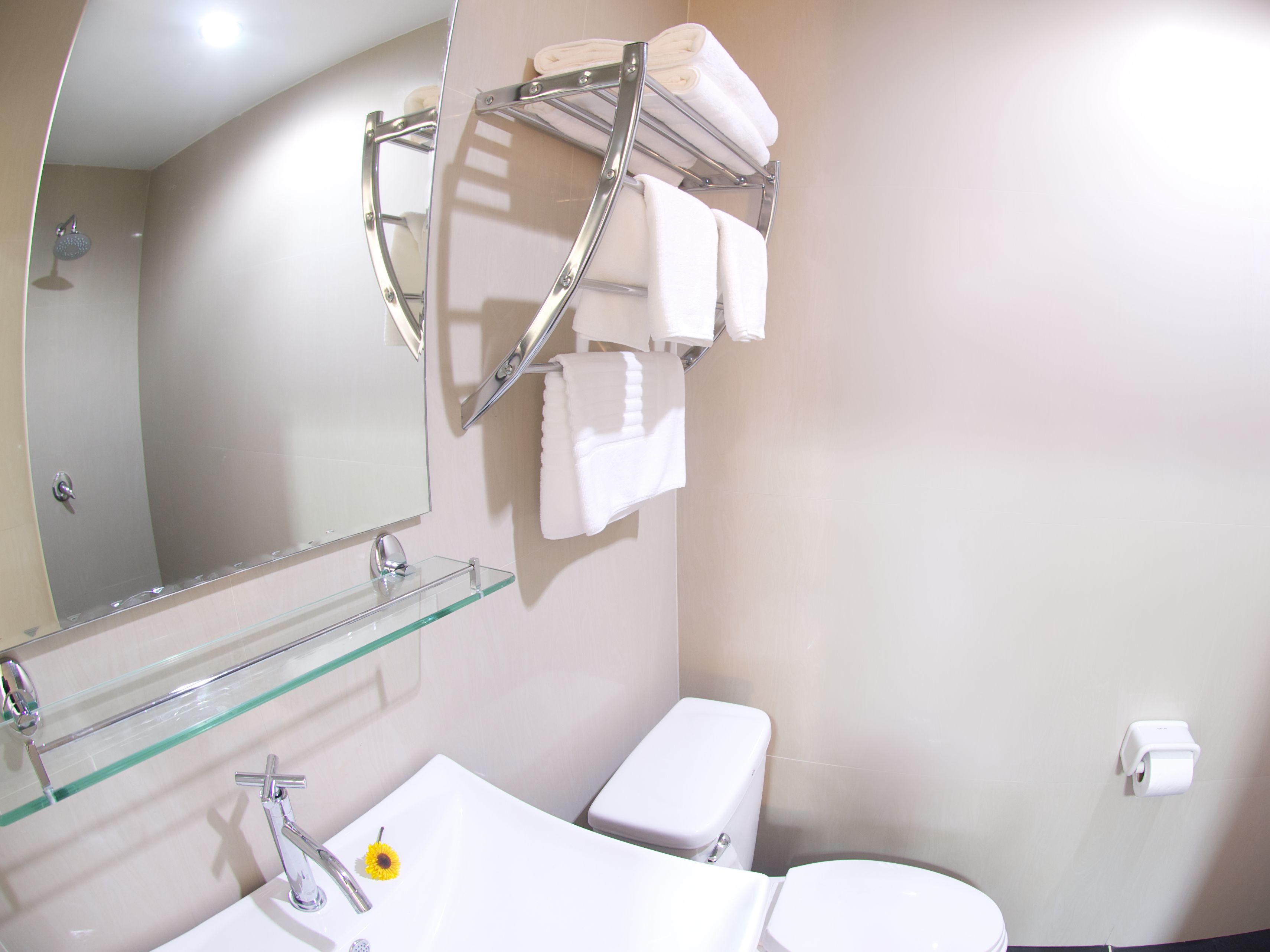 shower, hydromassage showerhead, designer toiletries, towels