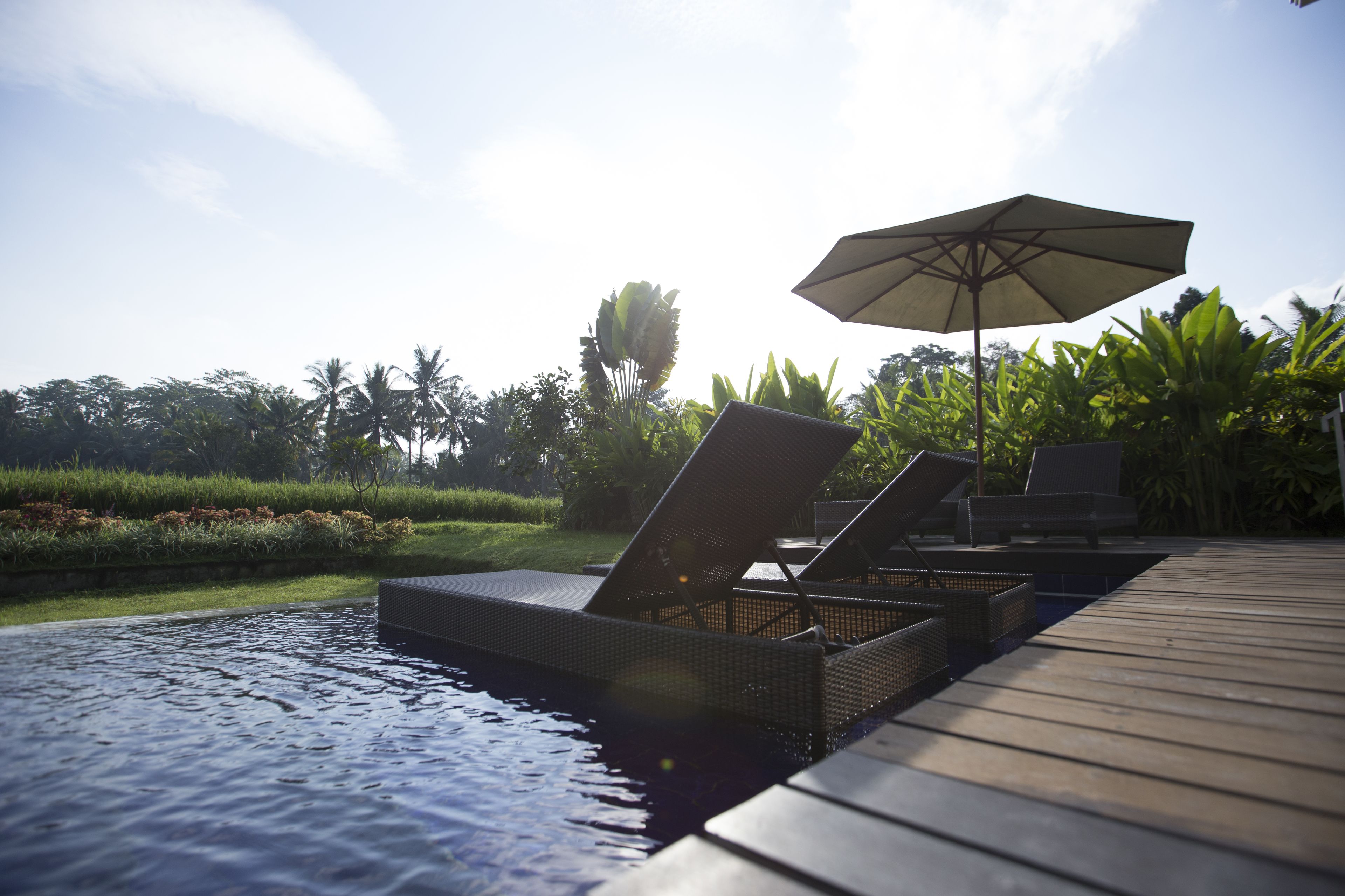 Un área junto a la piscina con sillones de descanso y una sombrilla, rodeada de abundante vegetación.