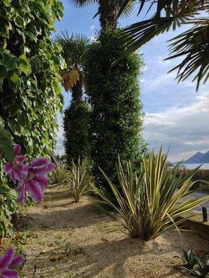 Property grounds - Villa Edera (Malcesine)