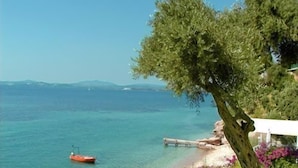 A coastal scene with a clear blue sea, a boat, and a tree with purple flowers.