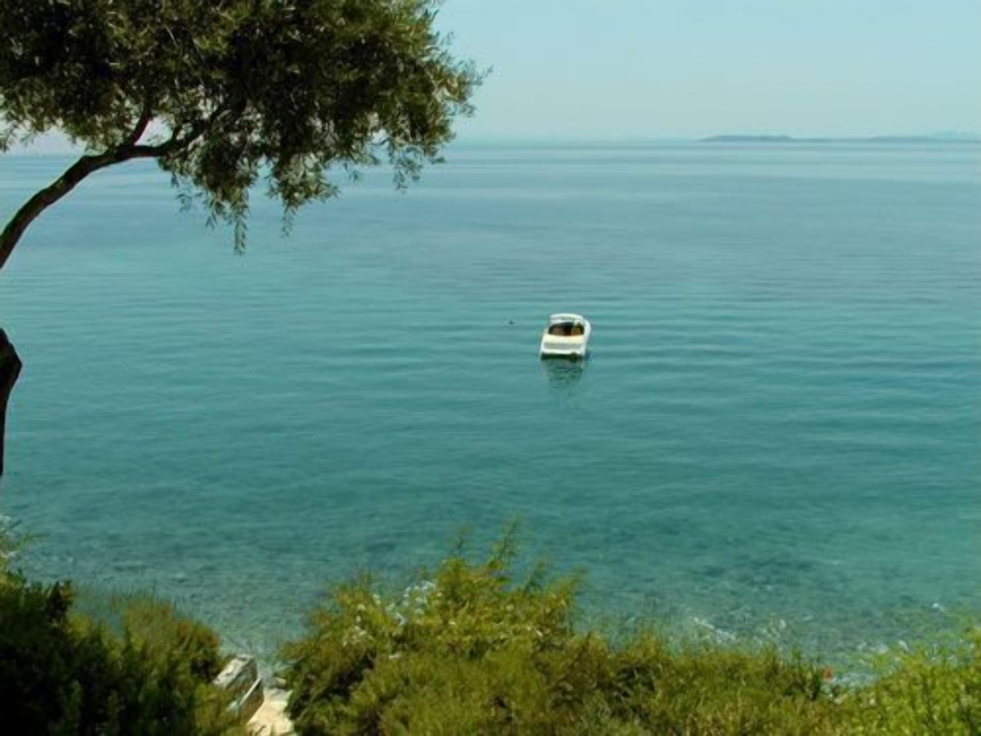 Un bote sobre aguas tranquilas con un árbol en primer plano.