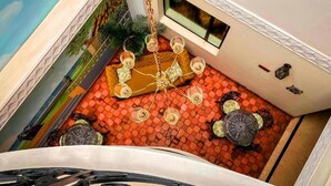 A rooftop terrace with a patterned floor, a hanging chair, and a table with chairs. - Hotel Castilla Real (Pereira)