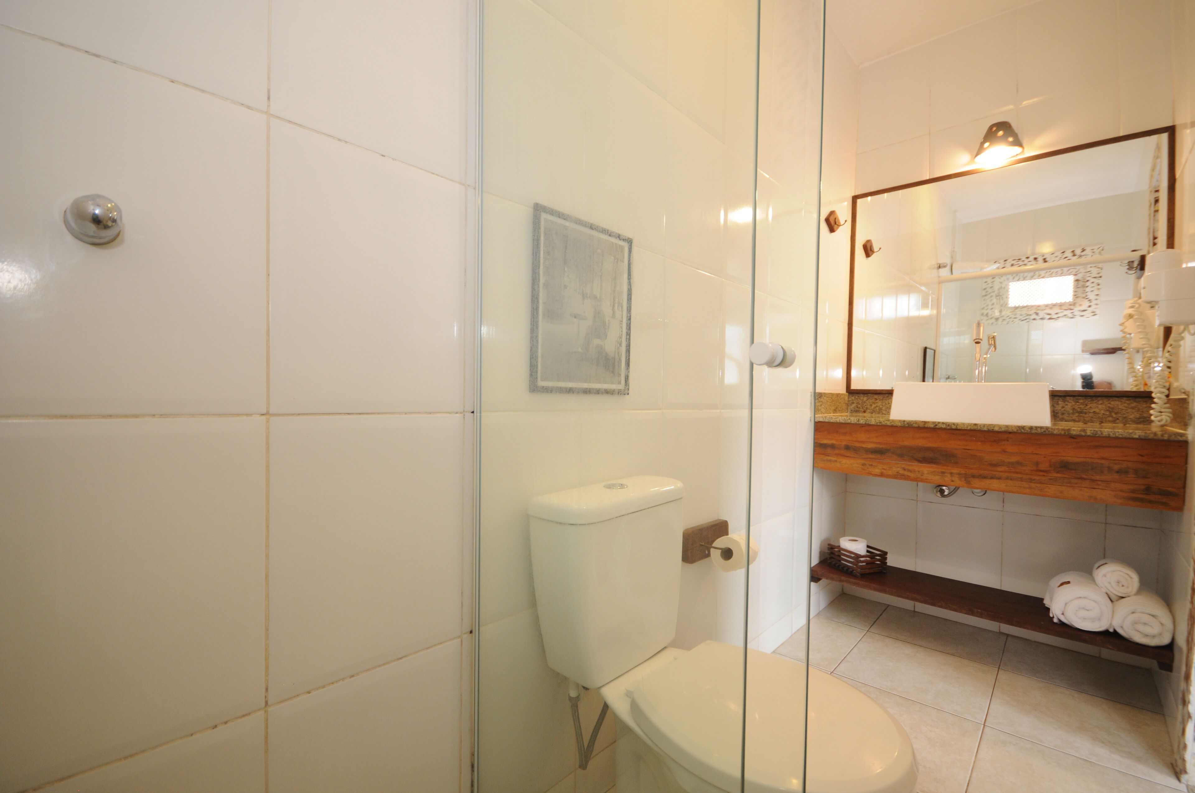A bathroom with a glass shower enclosure, a toilet, a sink with a wooden countertop, and a mirror above the sink.