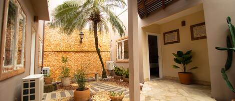 Un patio con una palmera, plantas en macetas, un camino de piedra y un cactus.