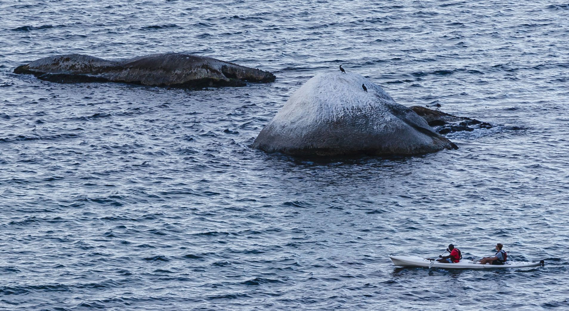 Foto - Whale View Manor & Spa