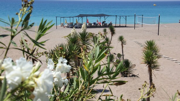 A beach with a covered seating area, palm trees, and a view of the sea. - Safak Beach Motel (Manavgat)