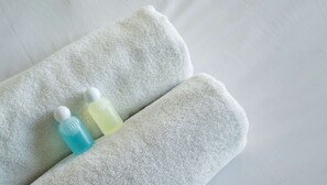 Secador de pelo, toallas, jabón, shampoo