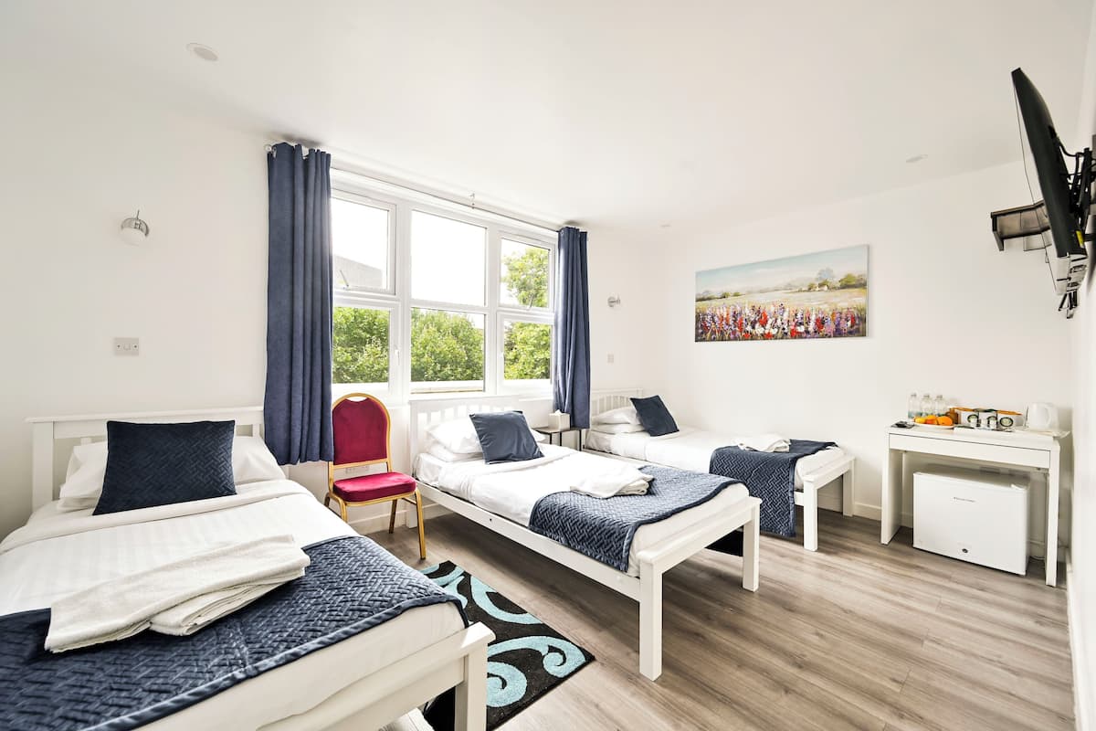 Standard Triple Room, 3 Single Beds | Pillow-top beds, in-room safe, iron/ironing board, free WiFi