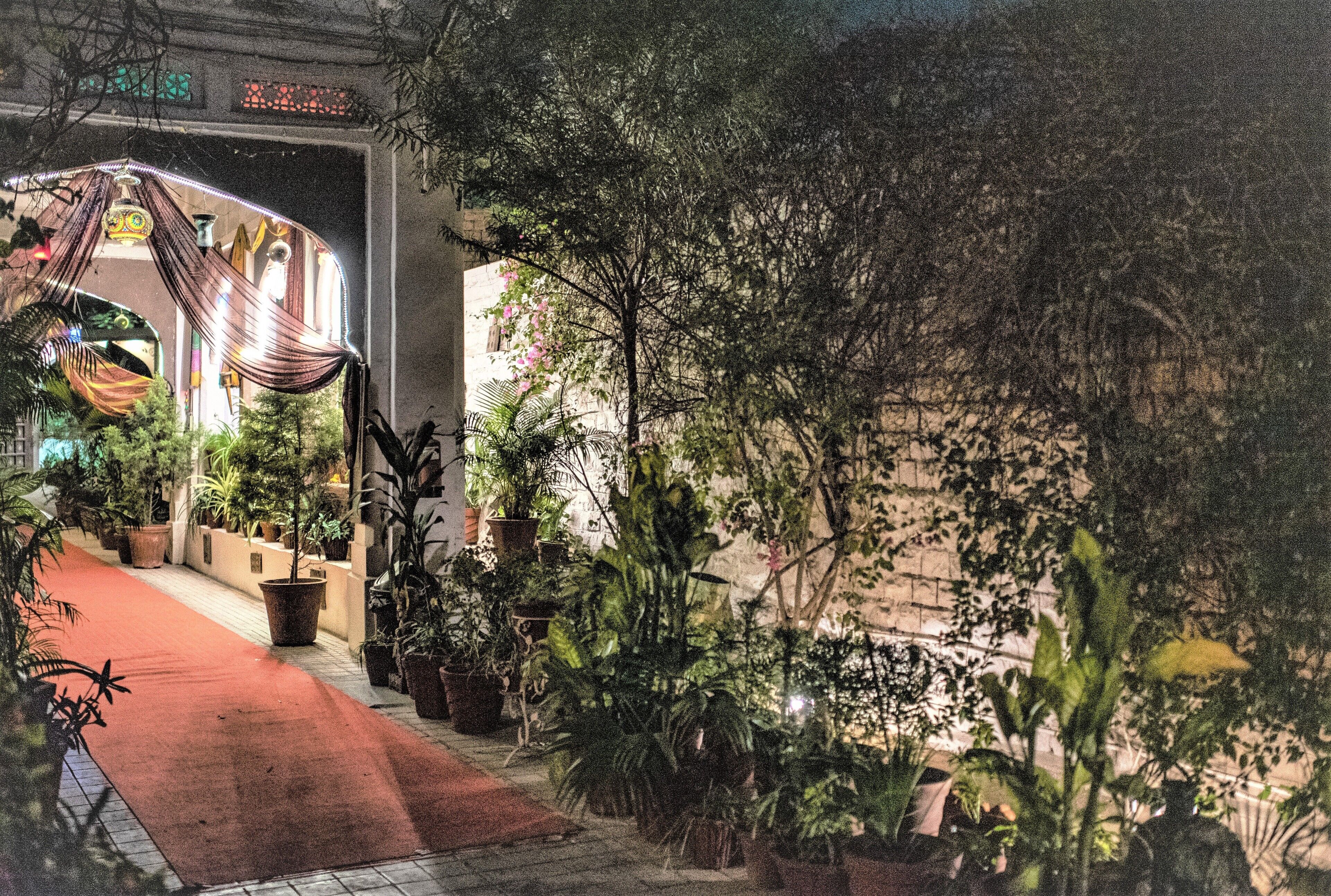 A pathway lined with potted plants leading to a building entrance with a red carpet.