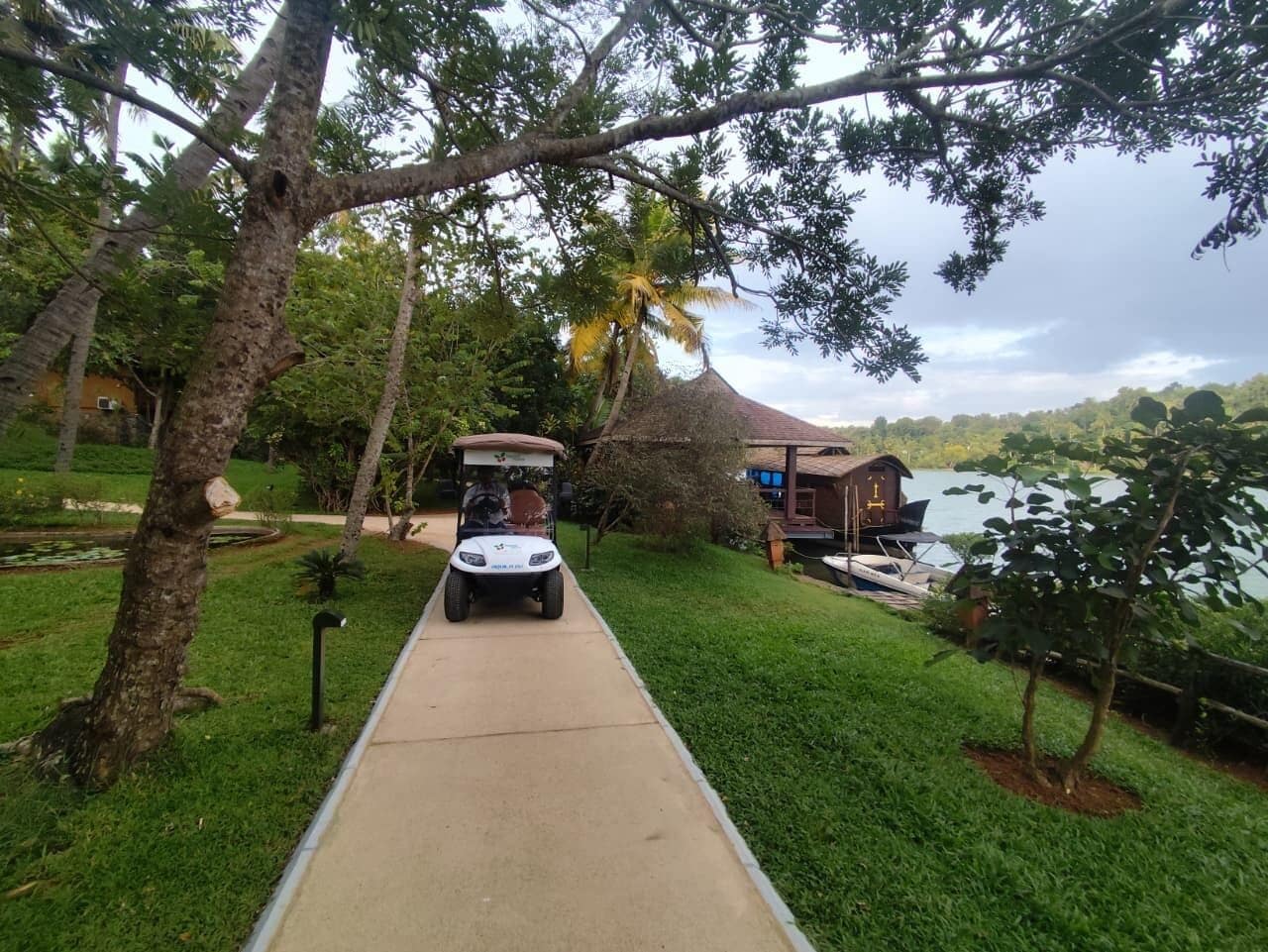 A golf cart on a paved path leading to a building with a thatched roof, surrounded by lush greenery and a body of water.