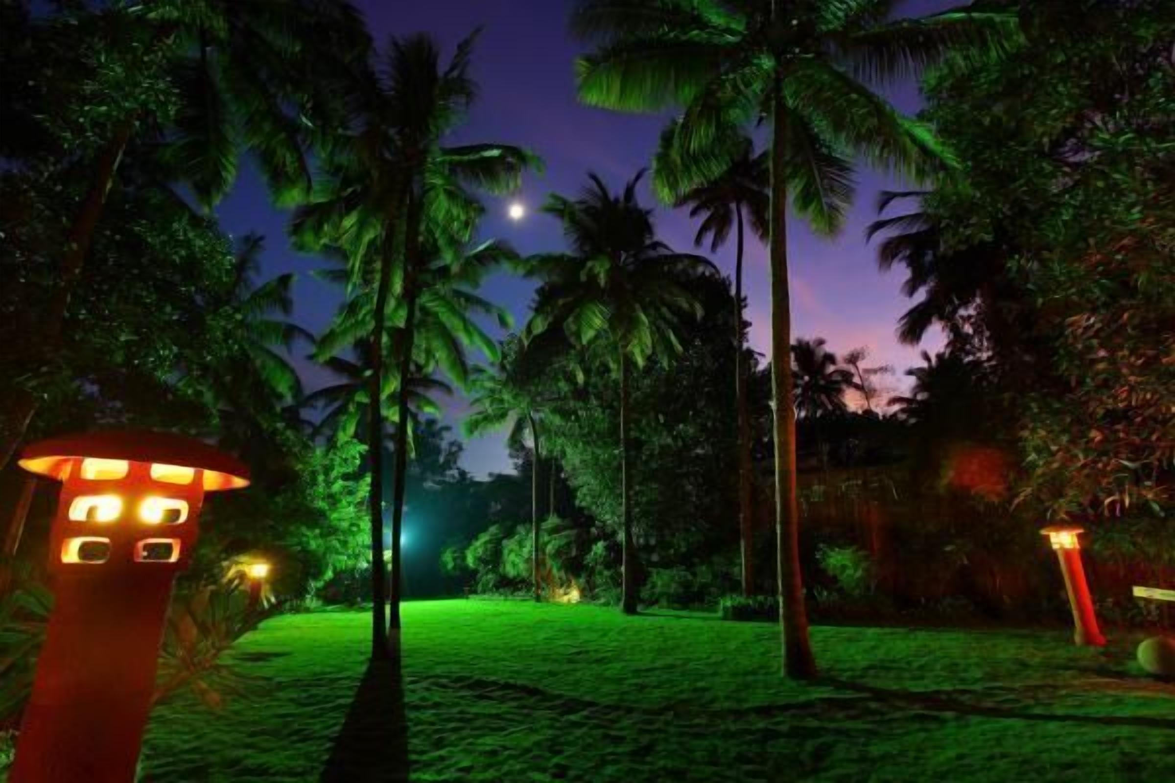 A nighttime scene with a pathway flanked by palm trees and a lit structure.
