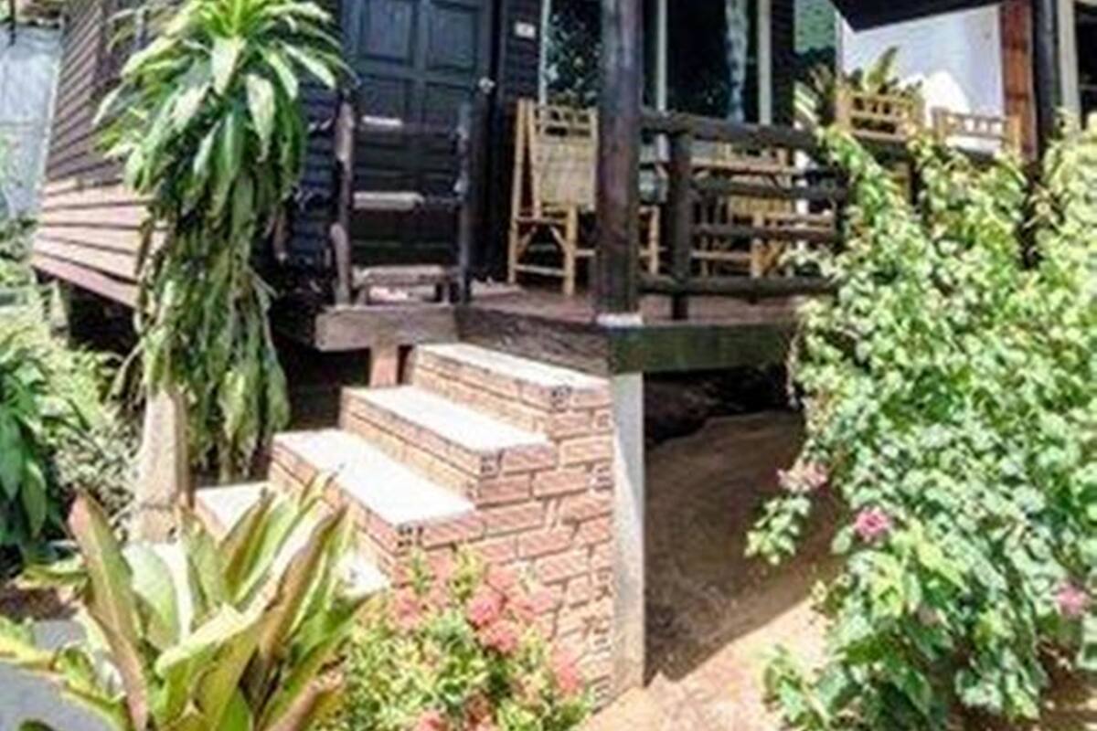 Uma cabana de madeira com varanda coberta, degraus de tijolo e vegetação ao redor.