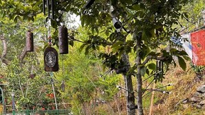 A serene garden with a Buddha statue, a pond, and various plants. - Emerald Trail (Nainital)