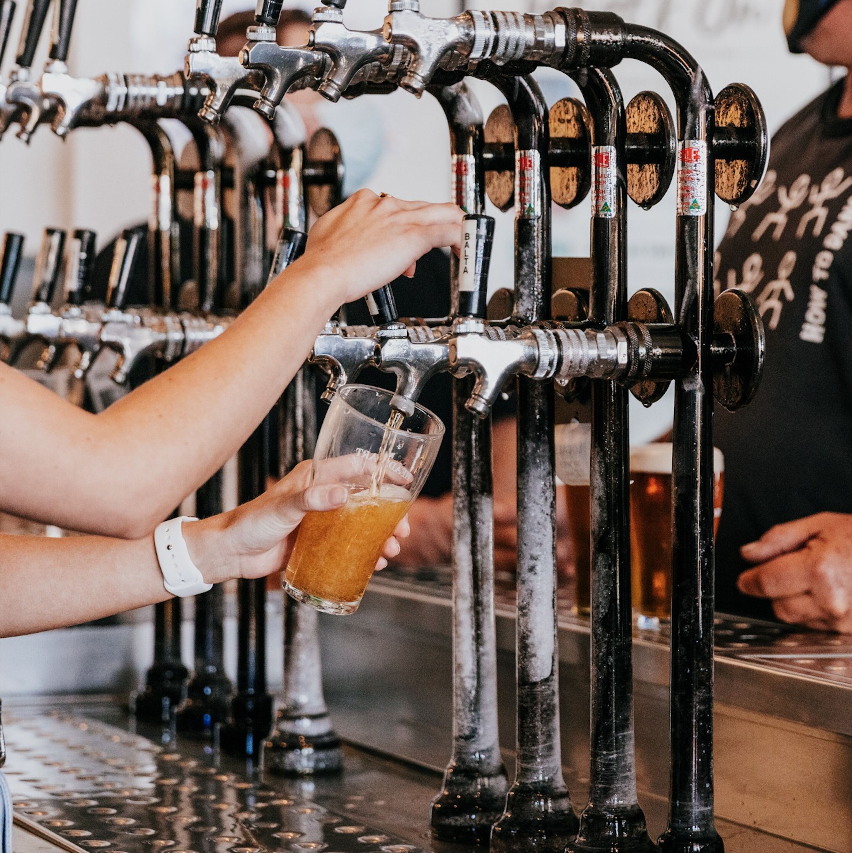 serves lunch and dinner