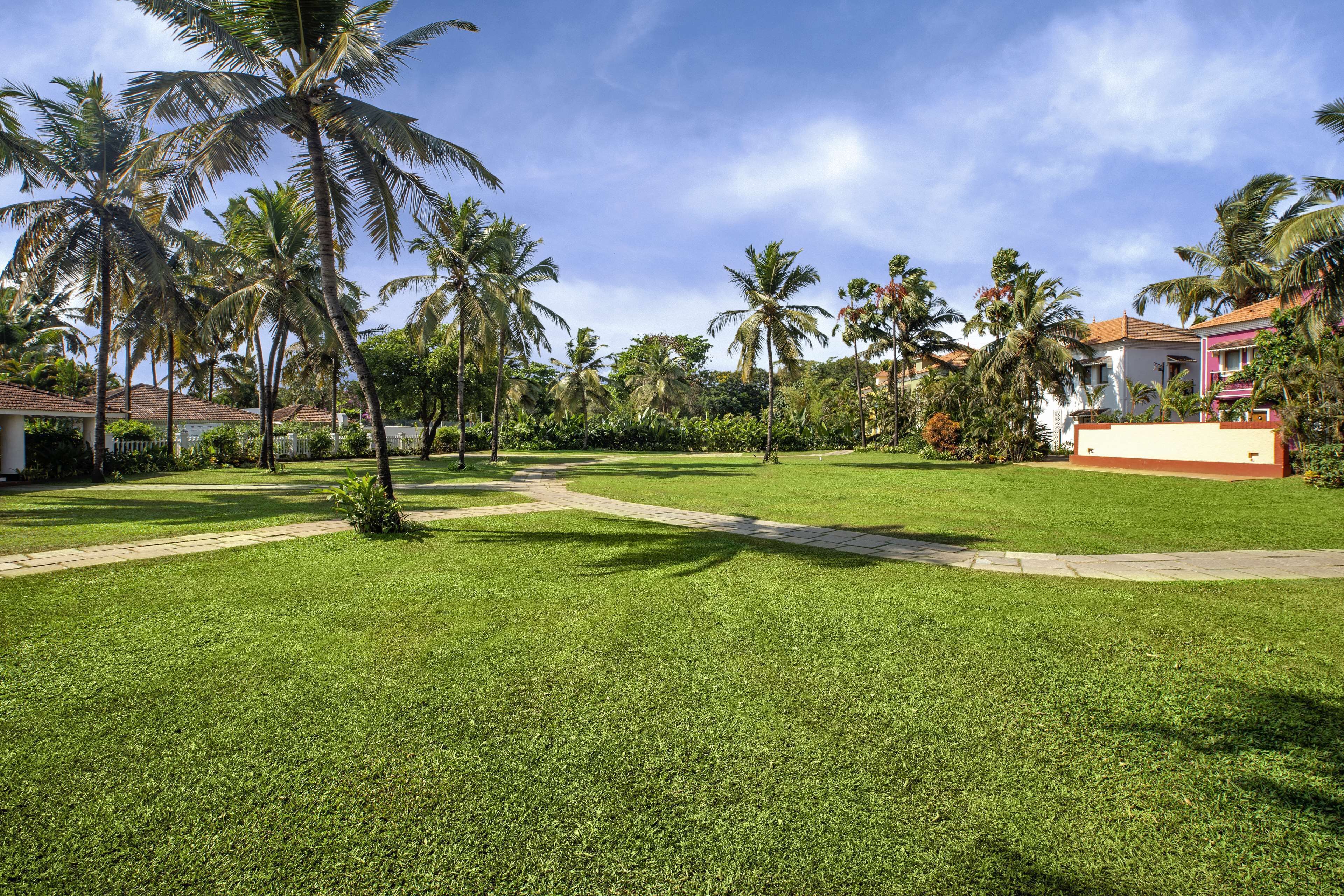 A well-maintained grassy area with palm trees, a pathway, and a building with a red and white facade.