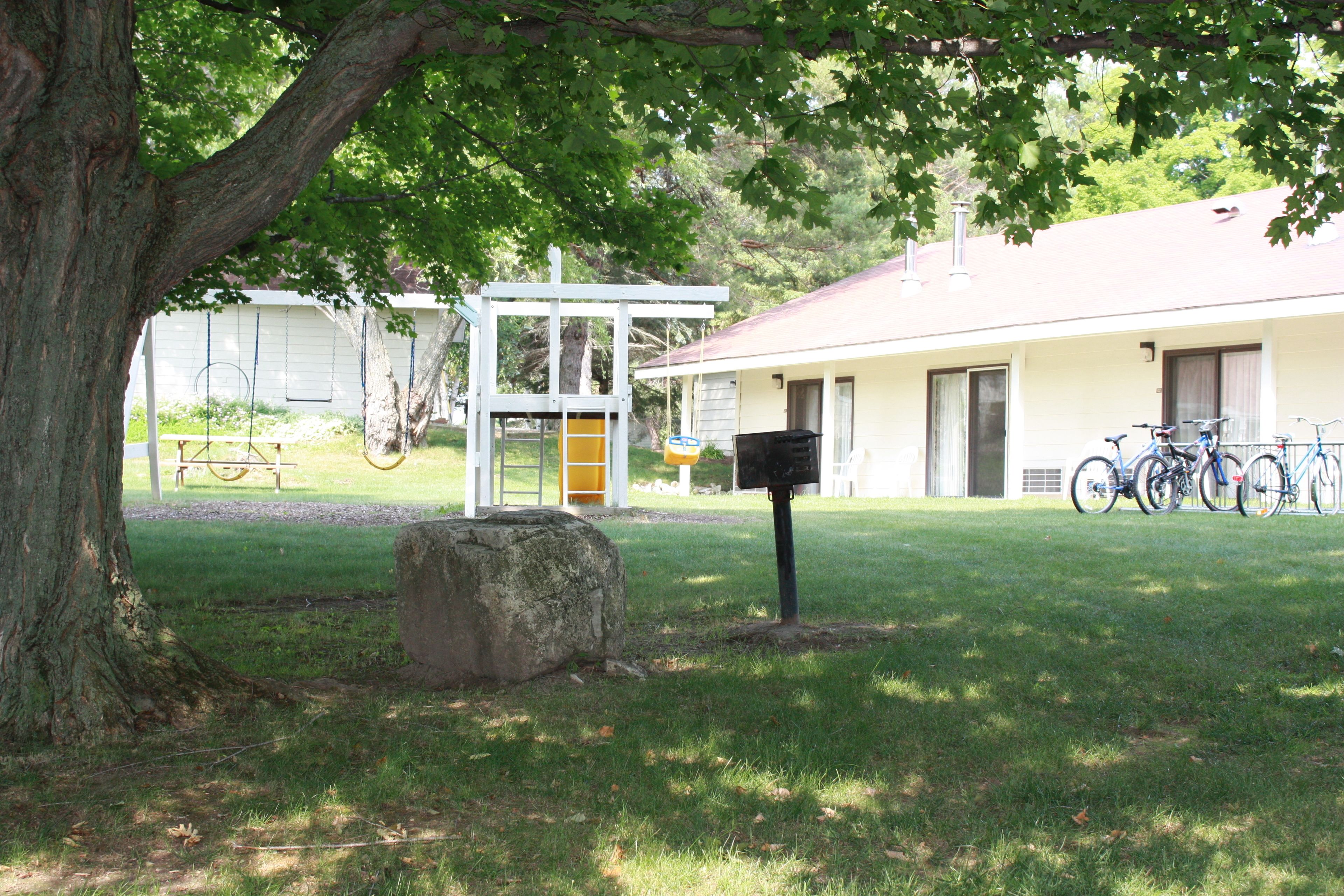 A building with a white exterior, a large tree in front, and bicycles parked outside.