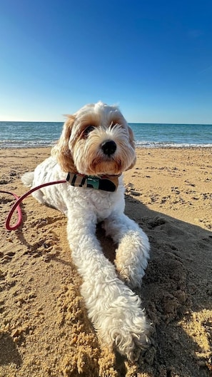 Playa