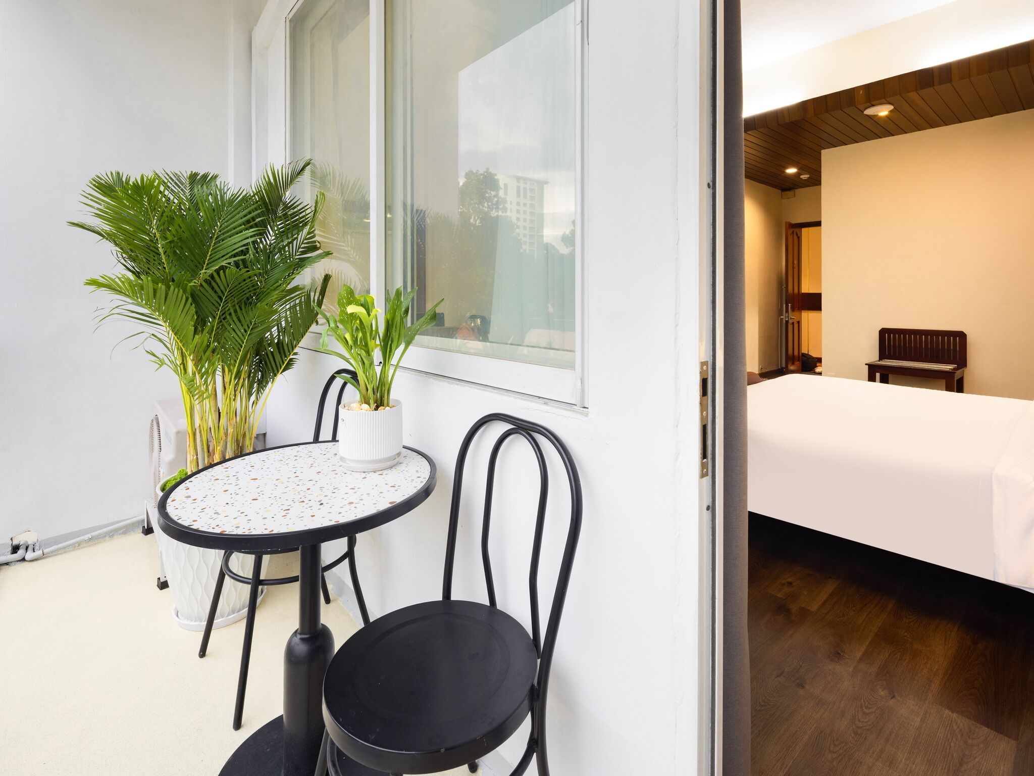 A small room with a bed, a table with chairs, and a potted plant.