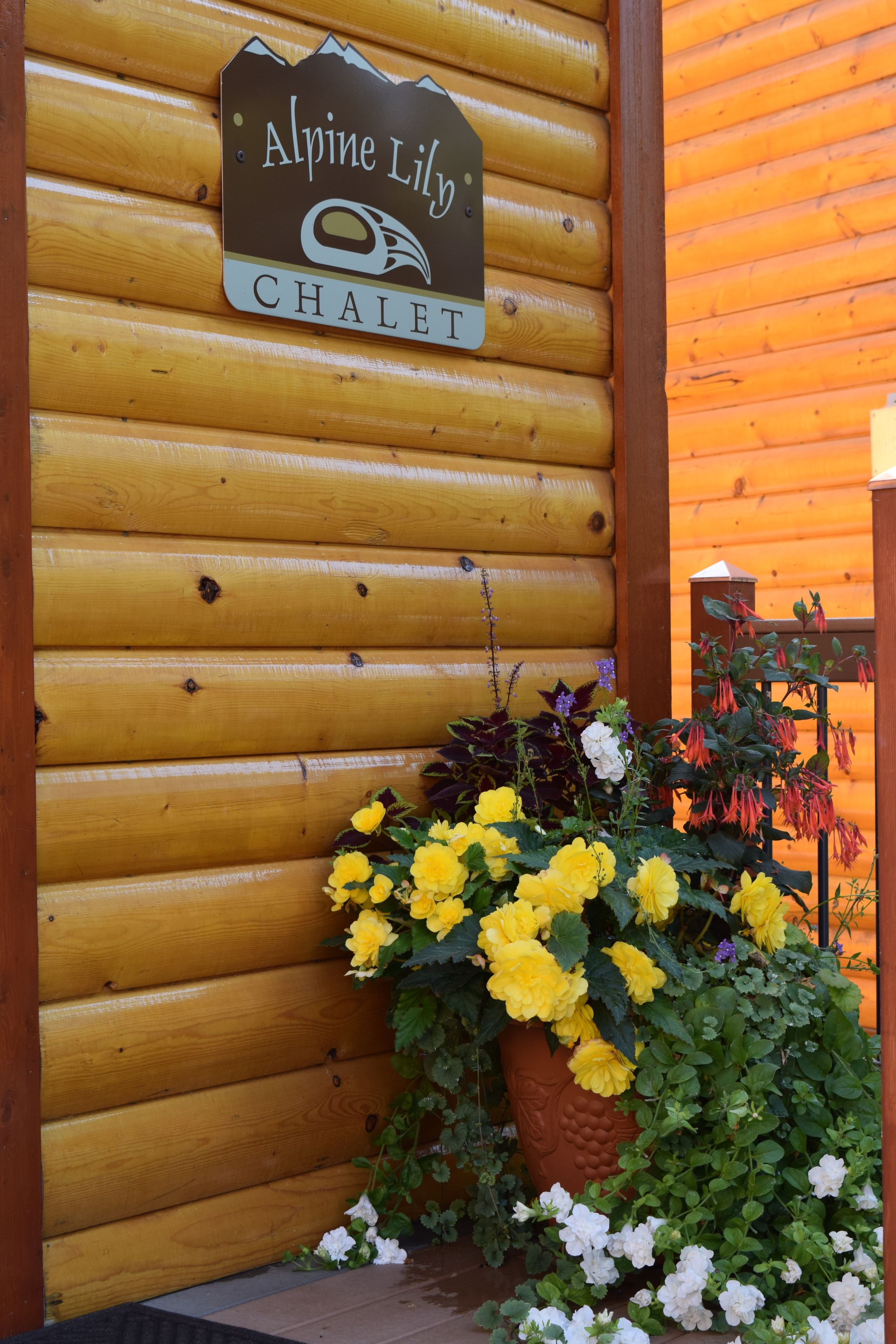 A wooden log cabin with a sign reading "Alpine Lily Chalet".