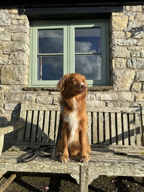 Cottage, Ensuite (no. 4 Warbler) | Exterior - Moorshead Farm (Cowbridge)