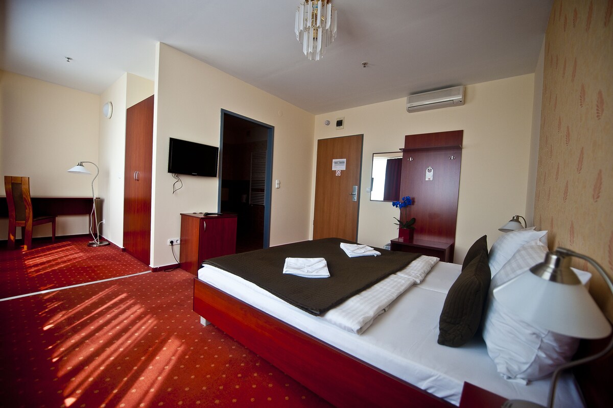 A hotel room with a bed, a desk, a TV, and a wardrobe.