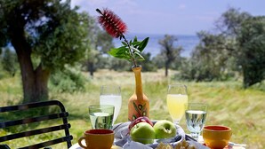 A picnic setup on a bench with a tablecloth, a bottle, a glass of juice, a plate with apples and snacks, and a cup.