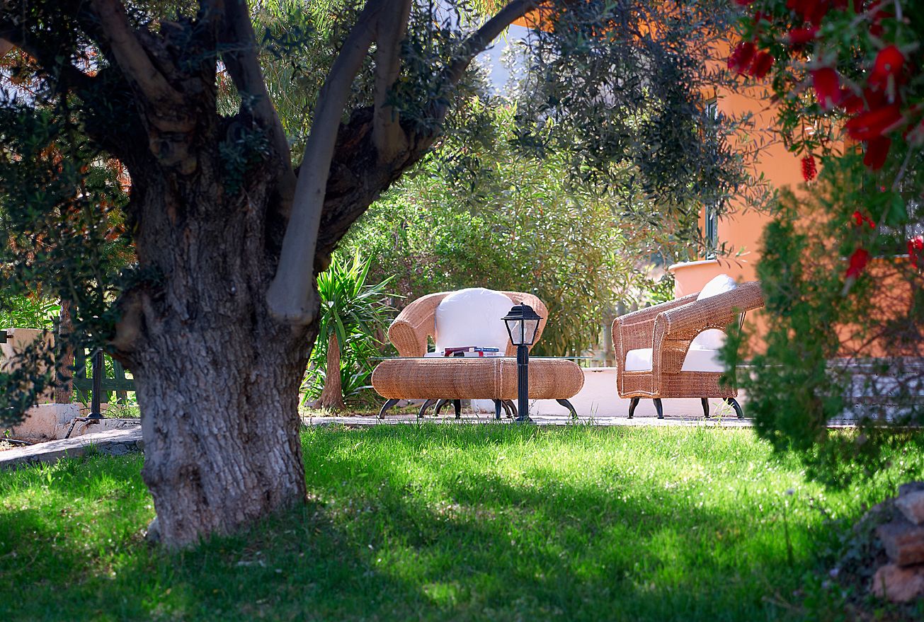 Un patio con mobiliario de mimbre y un farol, rodeado de follaje y un árbol.