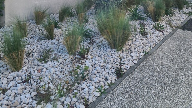 Uma área de recepção com uma placa indicando o Hotel ibis Reception, cercada por um jardim paisagístico com diversas plantas e um muro de concreto.