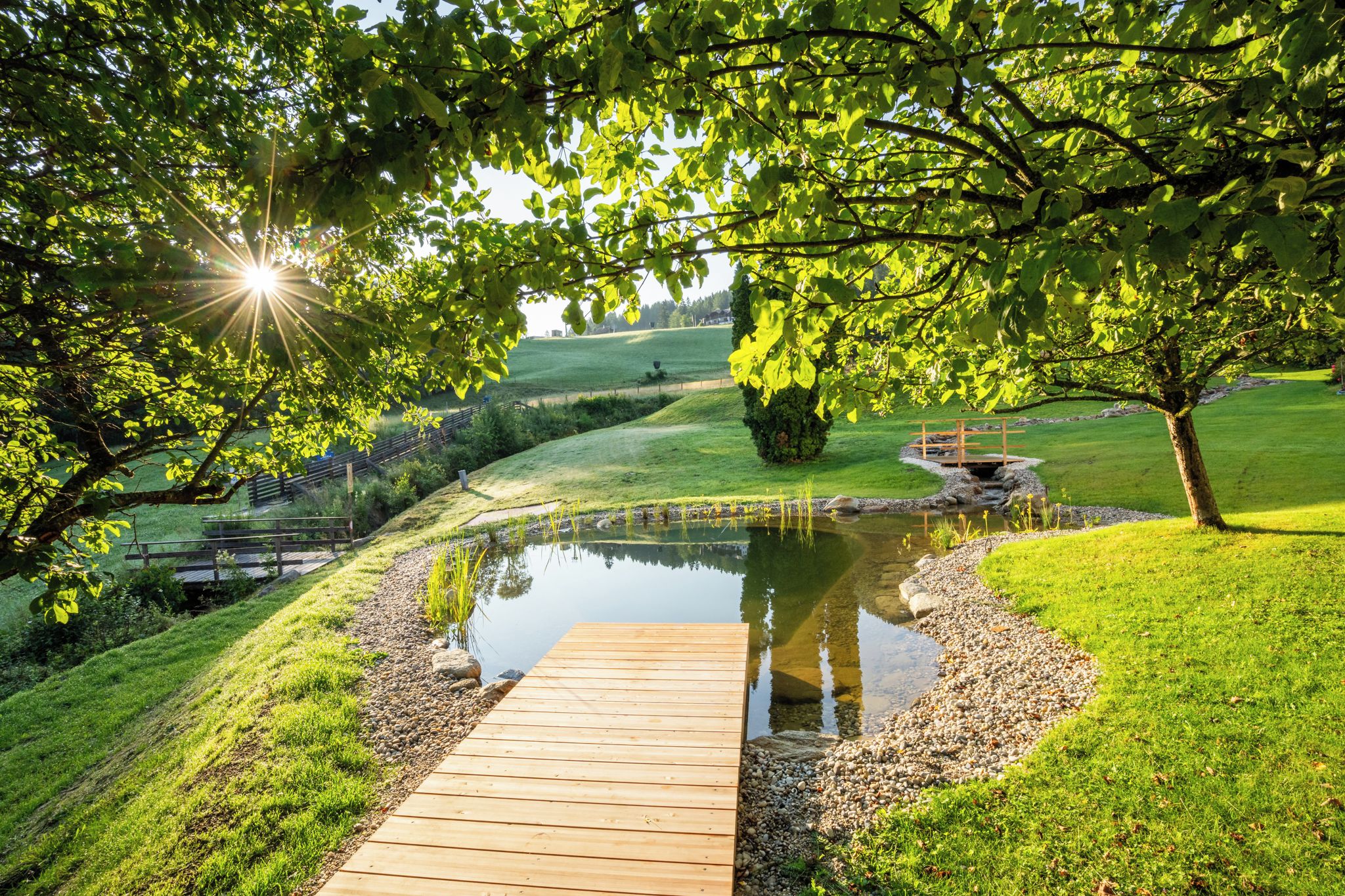 A wooden deck leading to a pond surrounded by grass and trees.