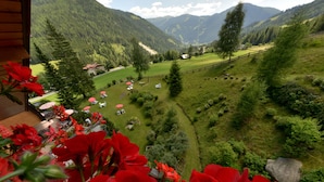 Une vue depuis un balcon, avec des fleurs rouges au premier plan, donnant sur une vallée verdoyante, bordée d’une clôture en bois, d’arbres et d’un petit bâtiment doté d’un toit rouge.